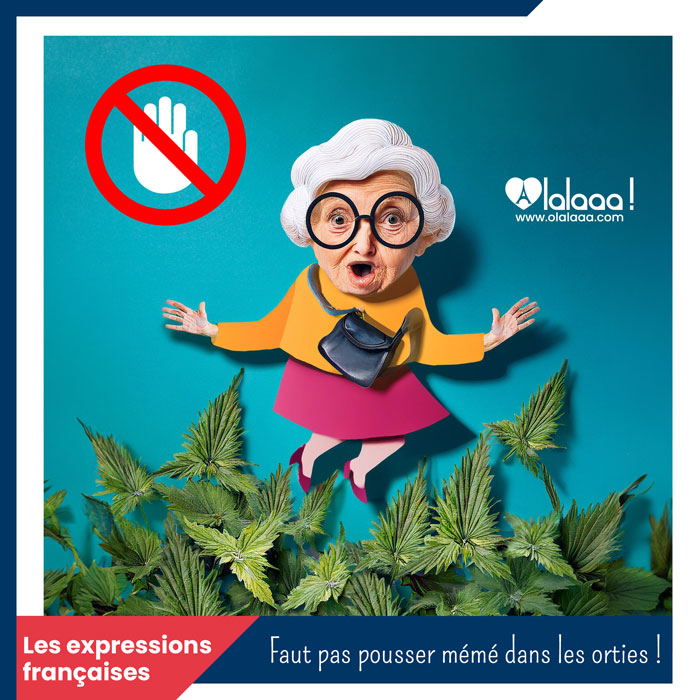 Faut pas pousser mémé dans les orties !