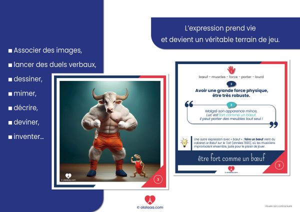 Langue au chat ? : Jeu pour apprendre les expressions françaises, ressources FLE ludiques